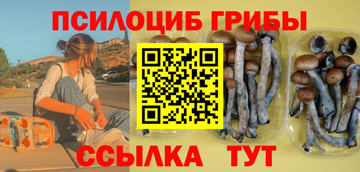 Усть-Илимск  где купить   Вход с VPN  Псилоцибиновые грибы Magic Shrooms 